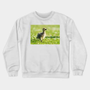 Gosling Crewneck Sweatshirt